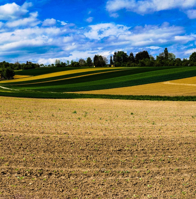 Landwirtschaft