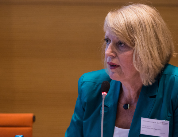Dr. Anette Pieper Direktorin, Abteilung Projekte, Deutscher Akademischer Austauschdienst (DAAD) Fachgespräch Subsahara
