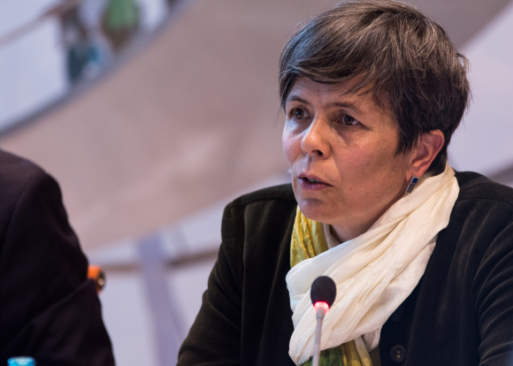 Kerstin Nagels AbteilungsleiterinWirtschaft, Beschäftigung, Soziales, Deutsche Gesellschaft für Internationale Zusammenarbeit (GIZ) Fachgespräch Subsahara