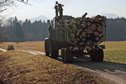 Land- und Forstwirtschaft