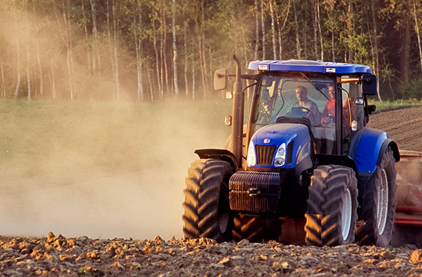 Der Klimawandel erhöht den Druck auf die Landwirtschaft