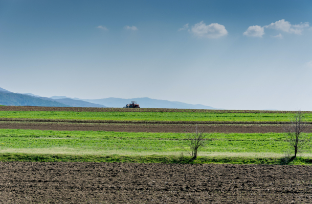 Landwirtschaft_Ackerbau