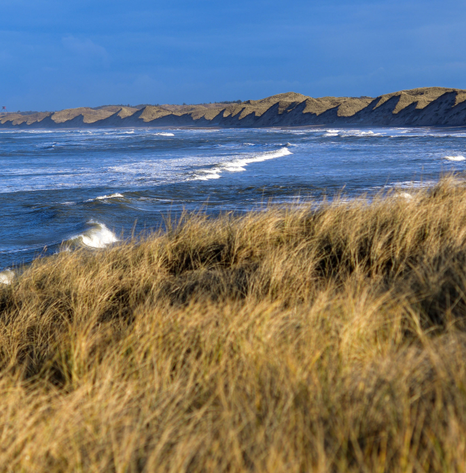 Nordsee mit Dünen