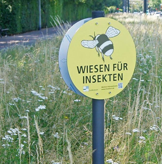 An vielen Grünanlagen oder Grünstreifen im Stadtgebiet und in den Randzonen von Frankfurt am Main stehen Hinweisschilder: Wiesen für Insekten.