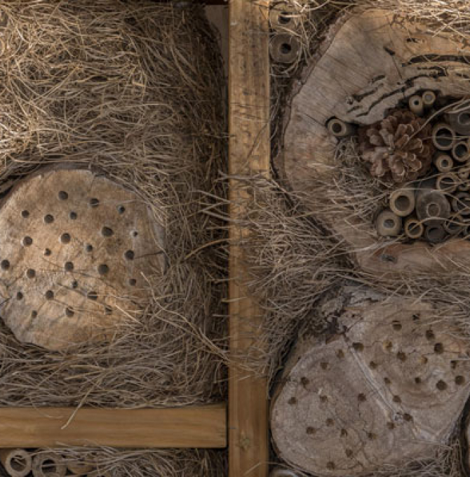 Insektenhotel