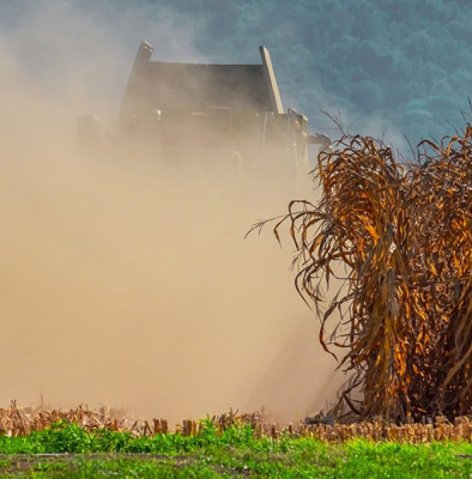 Landwirtschaft Dürre