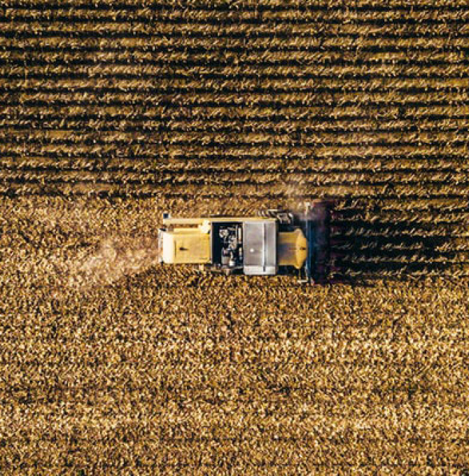 Landwirtschaft