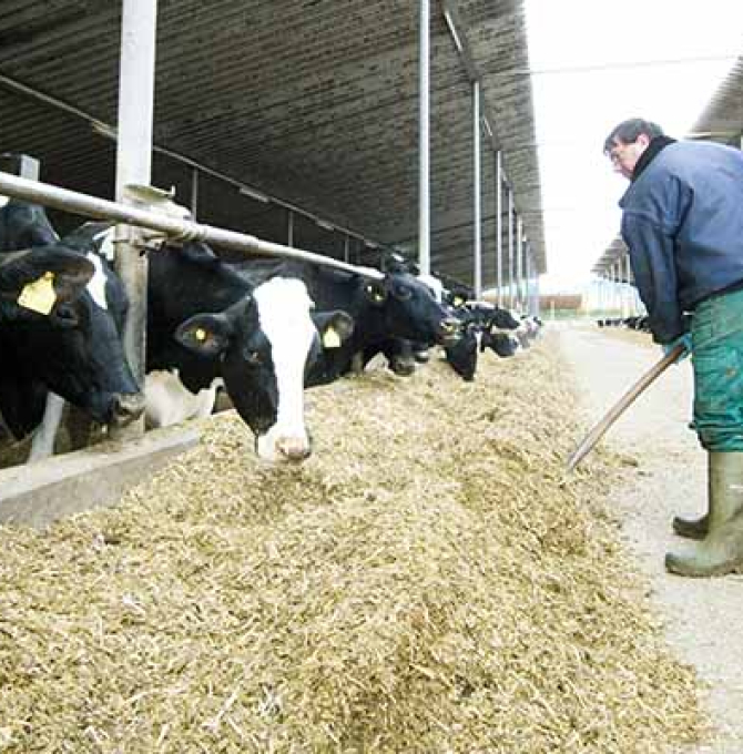 Liquidität für Landwirtschaft, Forsten und Gartenbau sichern