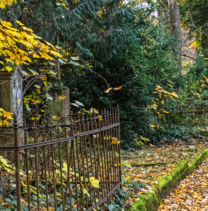 Friedhof