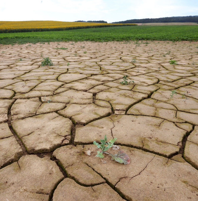 picture alliance/dpa | Karl-Josef Hildenbrand