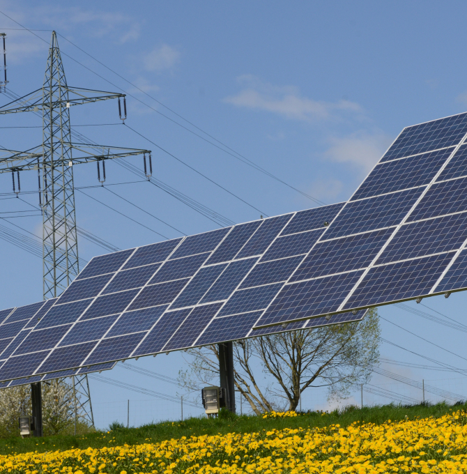 Photovoltaik auf blühender Wiese